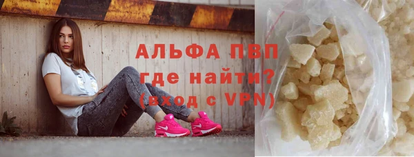 ГАЛЛЮЦИНОГЕННЫЕ ГРИБЫ Богданович