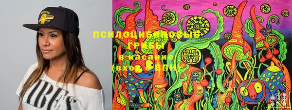 спайс Богородицк