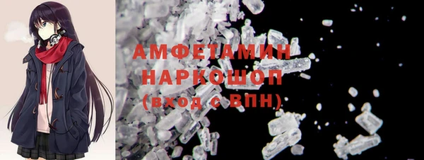 ГАЛЛЮЦИНОГЕННЫЕ ГРИБЫ Богданович