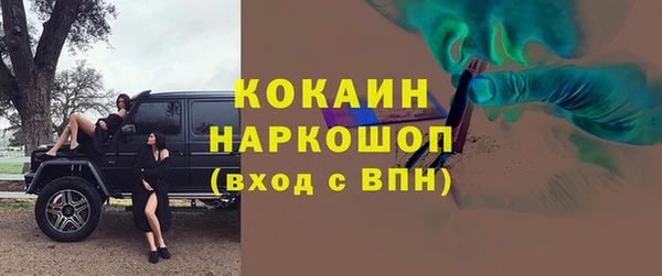 ГАЛЛЮЦИНОГЕННЫЕ ГРИБЫ Богданович