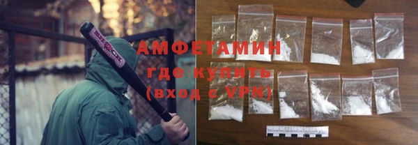 ГАЛЛЮЦИНОГЕННЫЕ ГРИБЫ Богданович