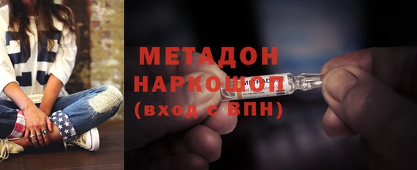 ГАЛЛЮЦИНОГЕННЫЕ ГРИБЫ Богданович