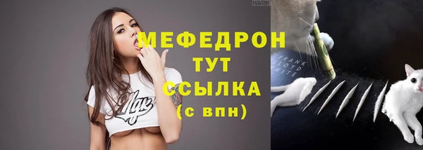 ГАЛЛЮЦИНОГЕННЫЕ ГРИБЫ Богданович