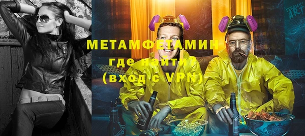ГАЛЛЮЦИНОГЕННЫЕ ГРИБЫ Богданович