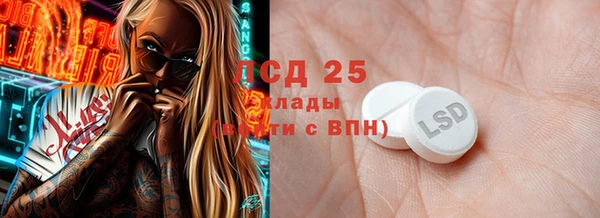 ГАЛЛЮЦИНОГЕННЫЕ ГРИБЫ Богданович