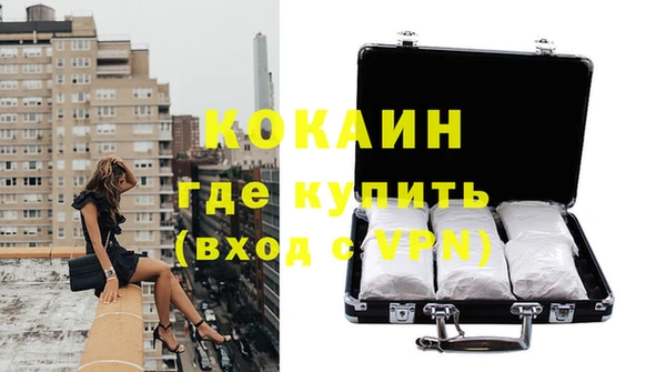 ГАЛЛЮЦИНОГЕННЫЕ ГРИБЫ Богданович