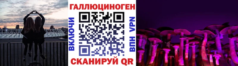 где продают   Новомичуринск  Псилоцибиновые грибы мухоморы 